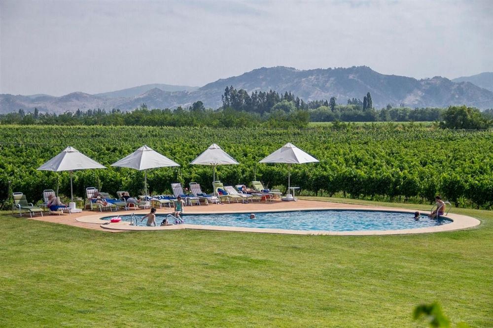 Hotel Terraviña (Colchagua Valley, zona vigneti)
